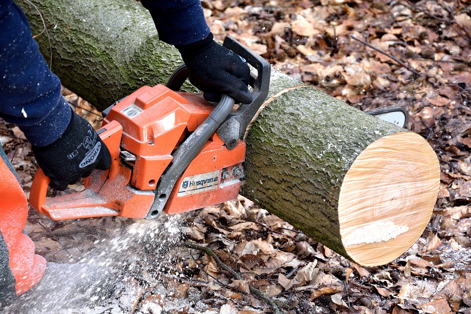 Best Electric Saw for Cutting Logs