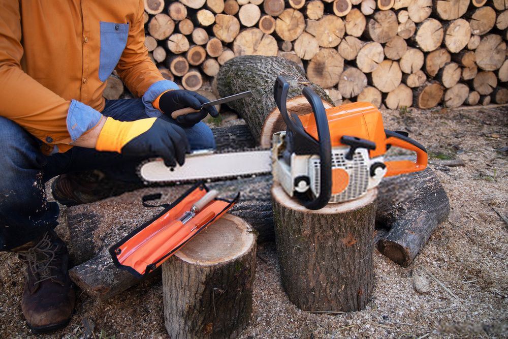 Best Electric Saw for Cutting Small Trees