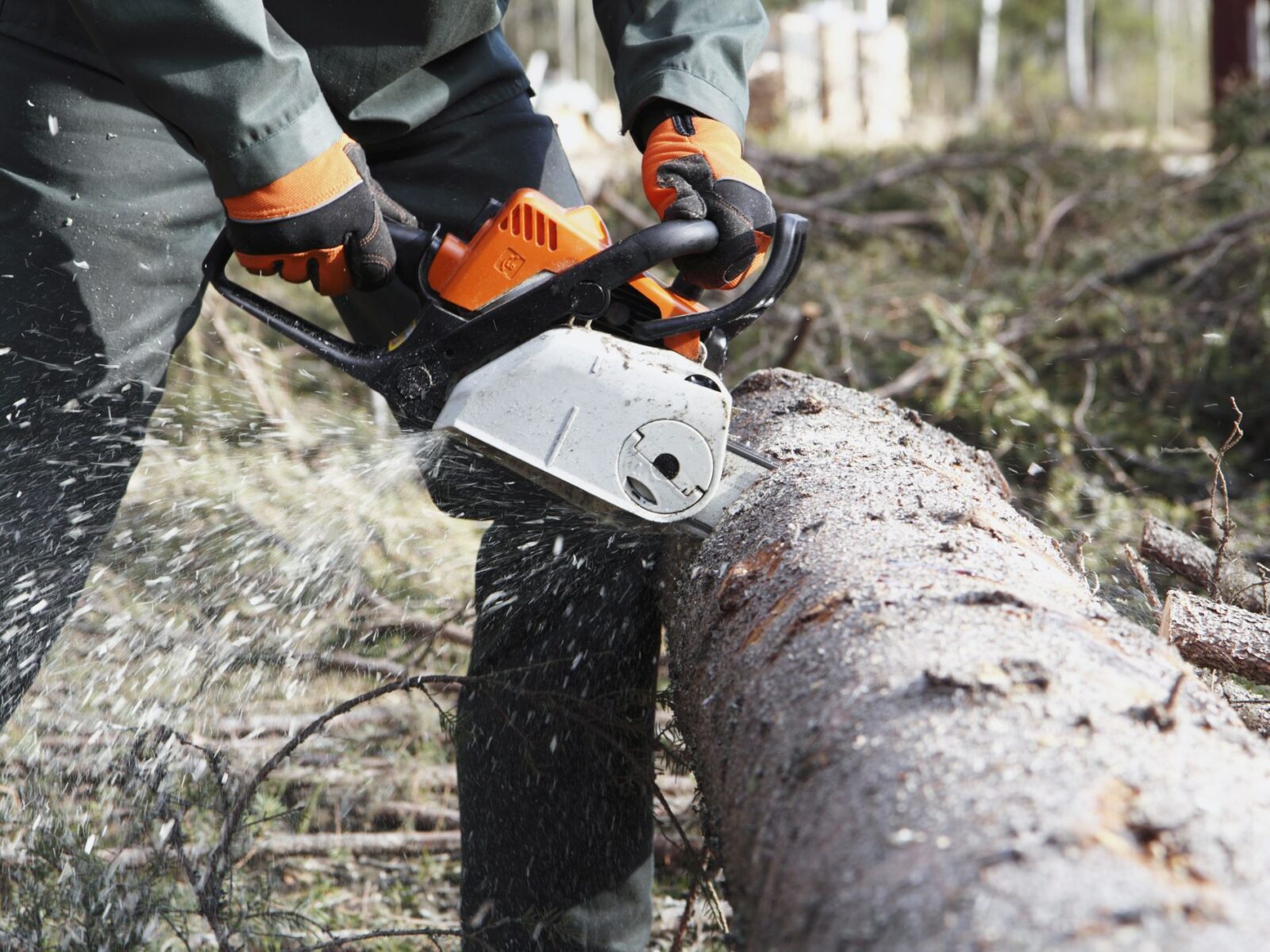 Best electric saw for cutting tree branches