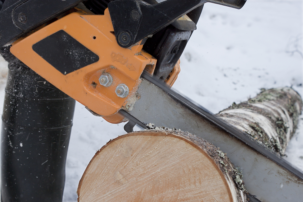 Precautions when cutting small tress with electric saw!