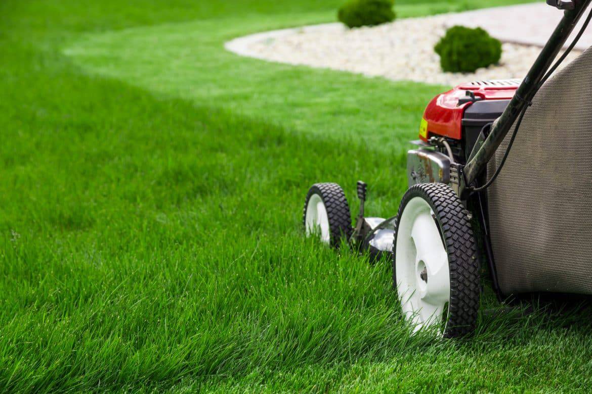 Things you need to know before buying a lawnmower
